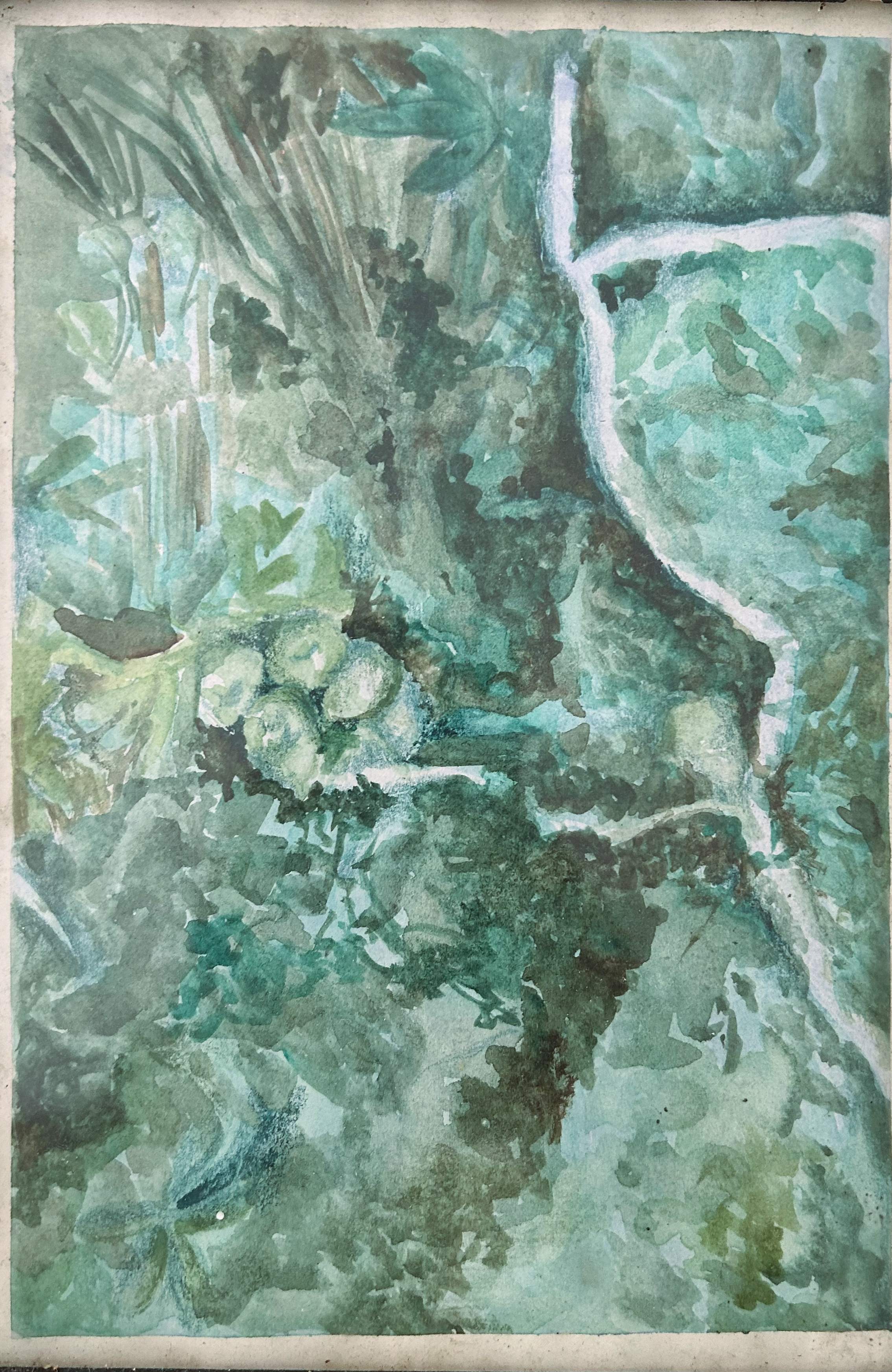 Detalhe de paisagem vegetal