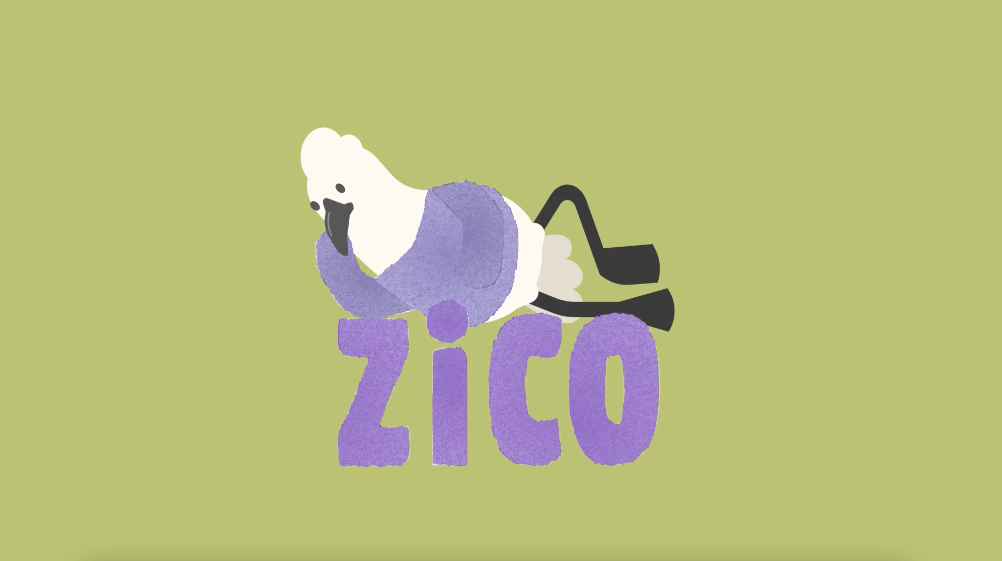Zico / Passarinho de Casaquinho